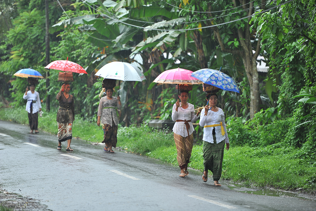 Planning a Trip to Bali during the Rainy Season - Lotus Bungalows
